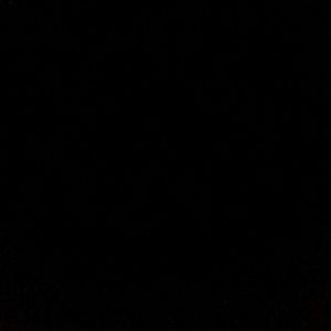 Meet your Posher, Lillyana